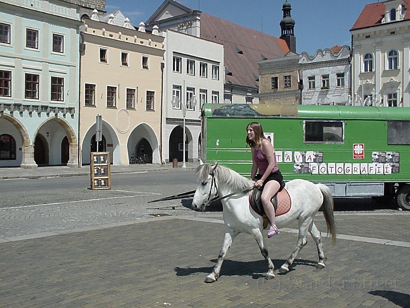 Erica Riding Horse In Ceske Budejovice 2.jpg